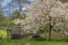 River Derwent Hackness