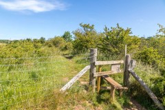 Forge Valley walk