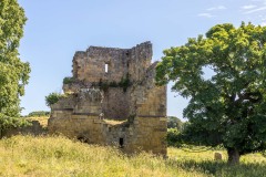Ayton Castle