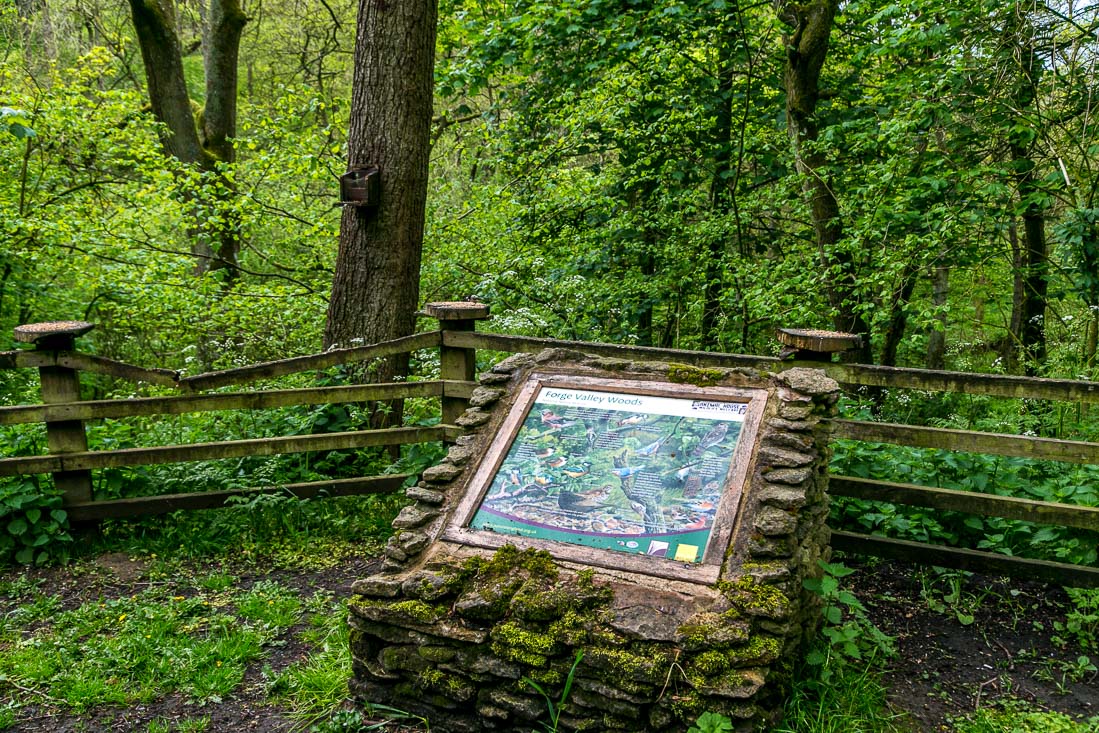 Forge Valley, Birdwatcher's car park Forge Valley, Birdwatcher's car park