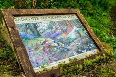 Forge Valley walk