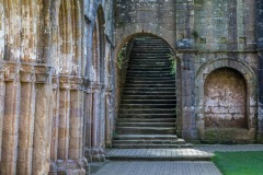 Fountains Abbey, cloister
