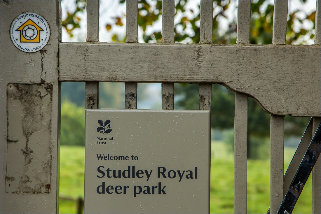 Studley Royal Deer Park