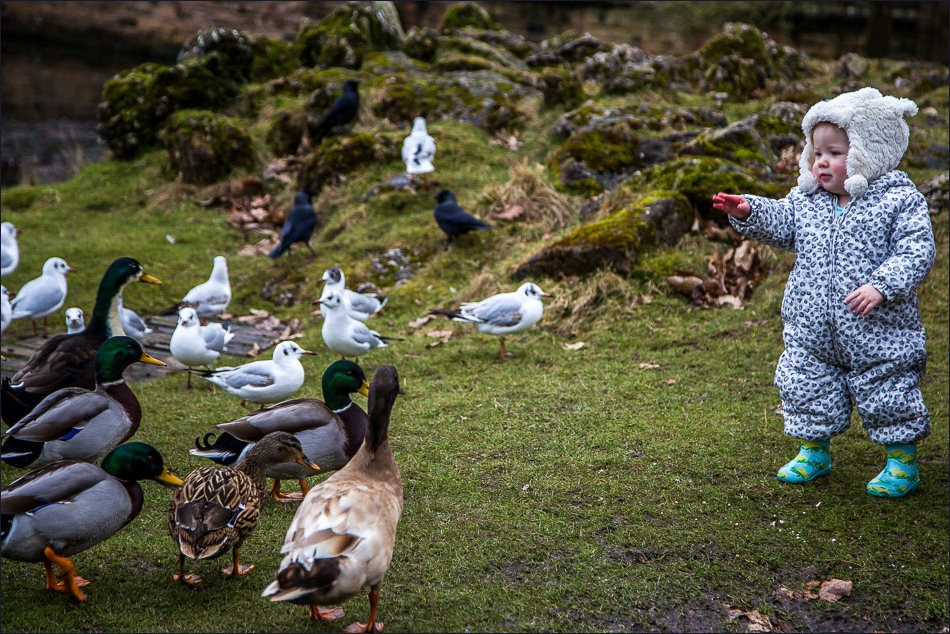 Feeding the ducks, Studley Royal Water Garden