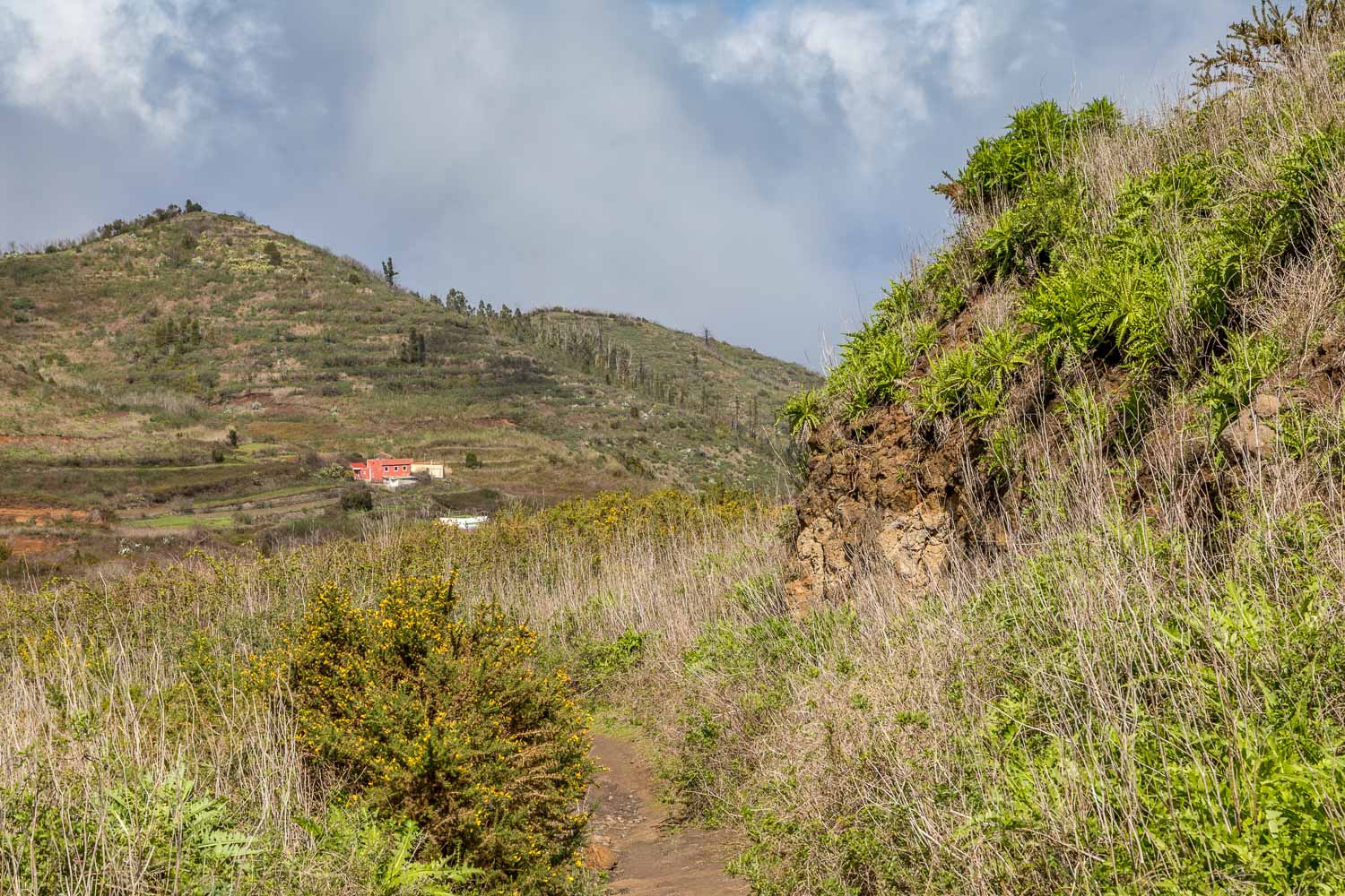 Fleytas walk Tenerife