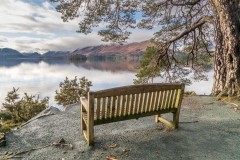 Friars Crag bench