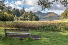 Catbells