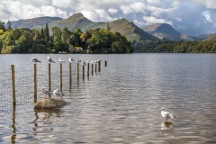 Derwent Water