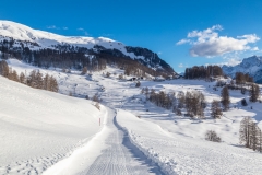 Guarda to Ftan, Bos-cha