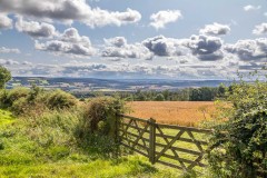 Gate near Corbridge Northumberland