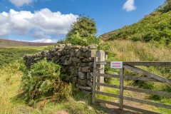 Black Hambleton
