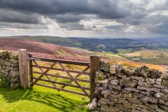 Black Hambleton