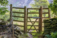 Deer gate Brackenthwaite Hows