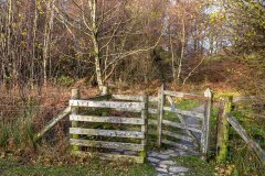 Long How Wood, Buttermere