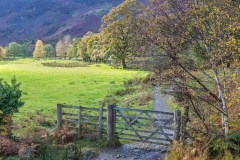 Borrowdale gate