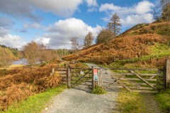 Tarn Hows