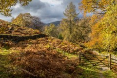 Tarn Hows, gate