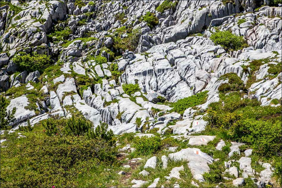 The Sea of Stones , Austrian Alps