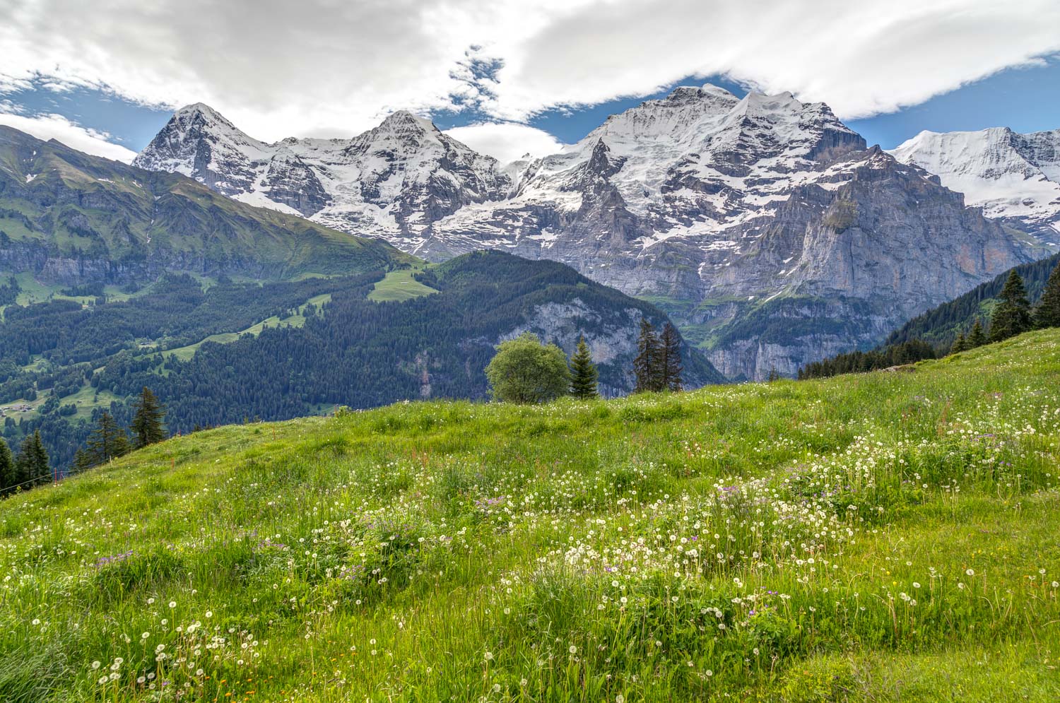 Eiger, Mönch, Jungfrau Eiger, Mönch, Jungfrau