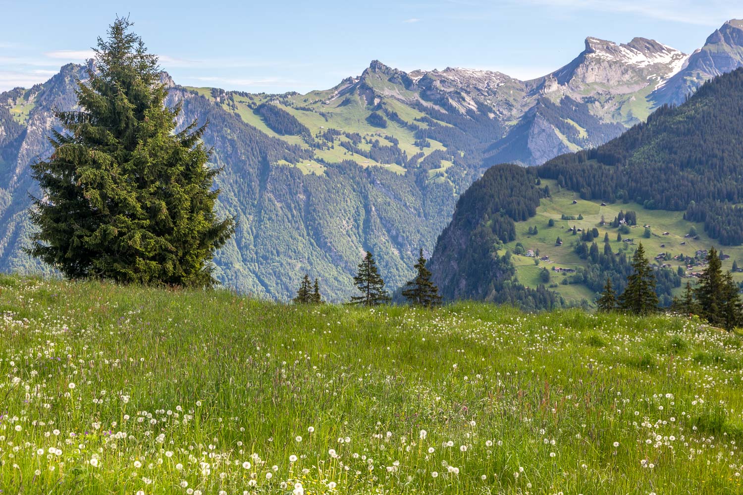 Gimmelwald walk Gimmelwald walk