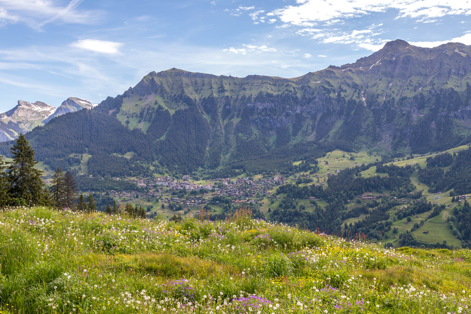 Wengen, Mannlichen Wengen, Mannlichen