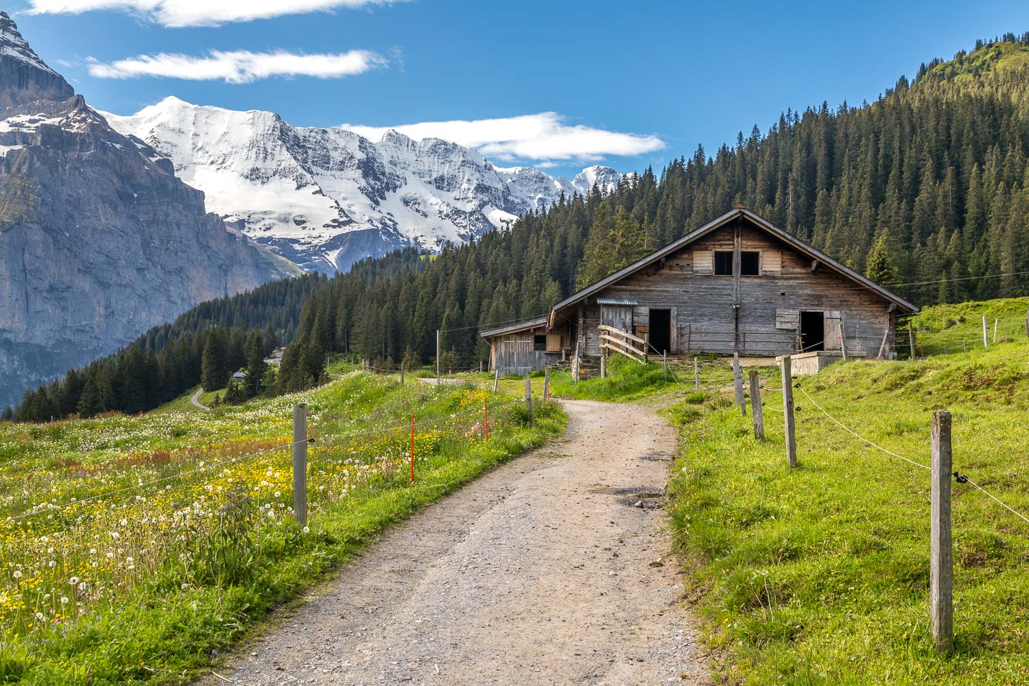 Grütschalp to Murren walk Grütschalp to Murren walk