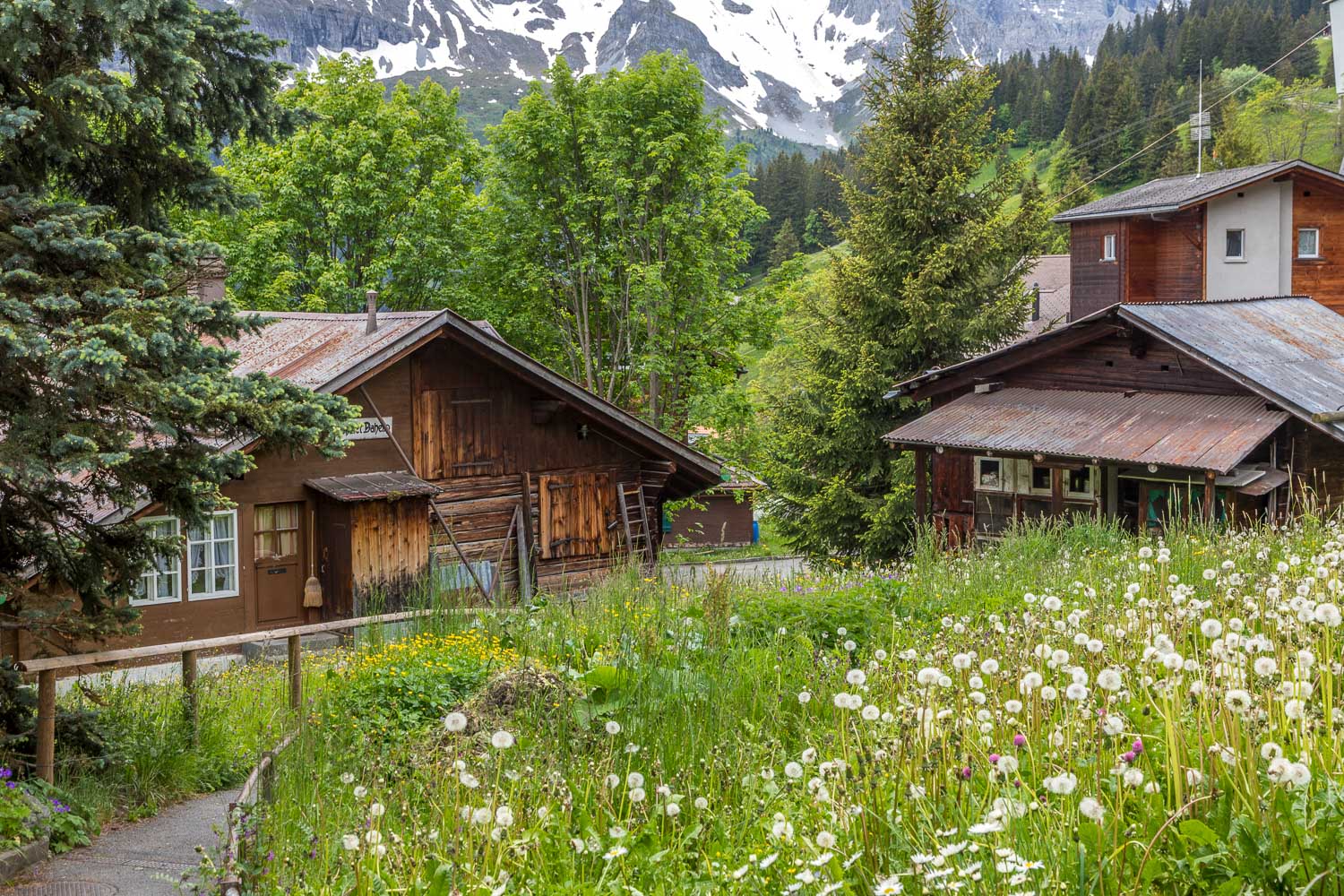 Mürren Mürren