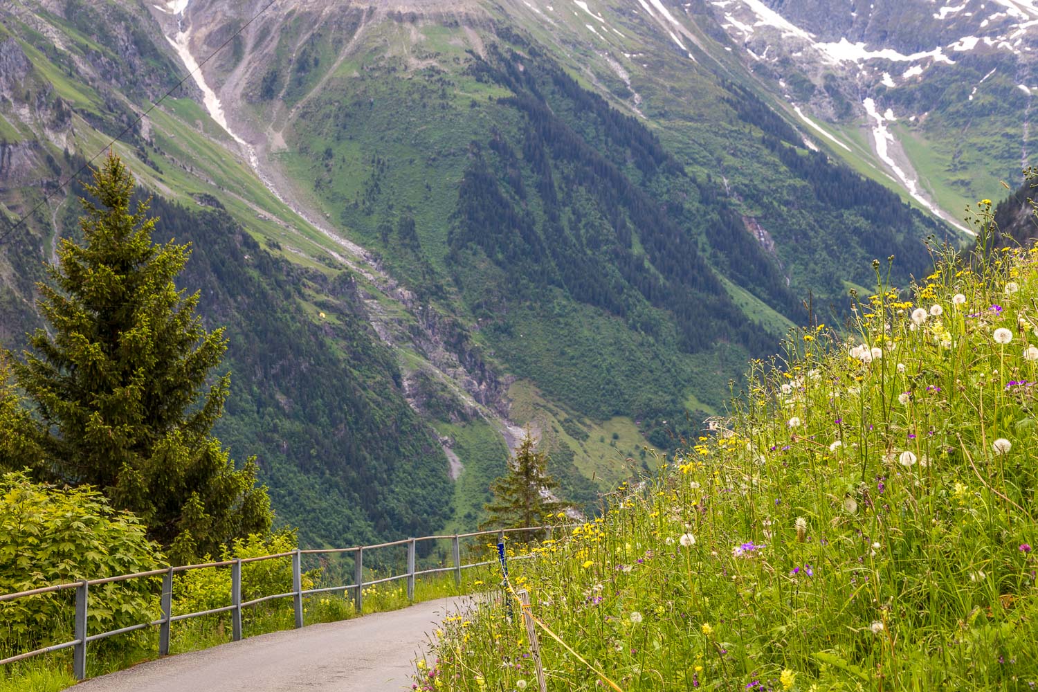 Gimmelwald walk Gimmelwald walk