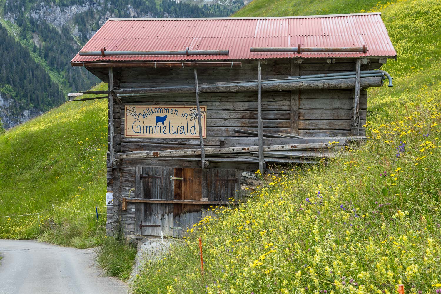 Gimmelwald-46 Gimmelwald-46