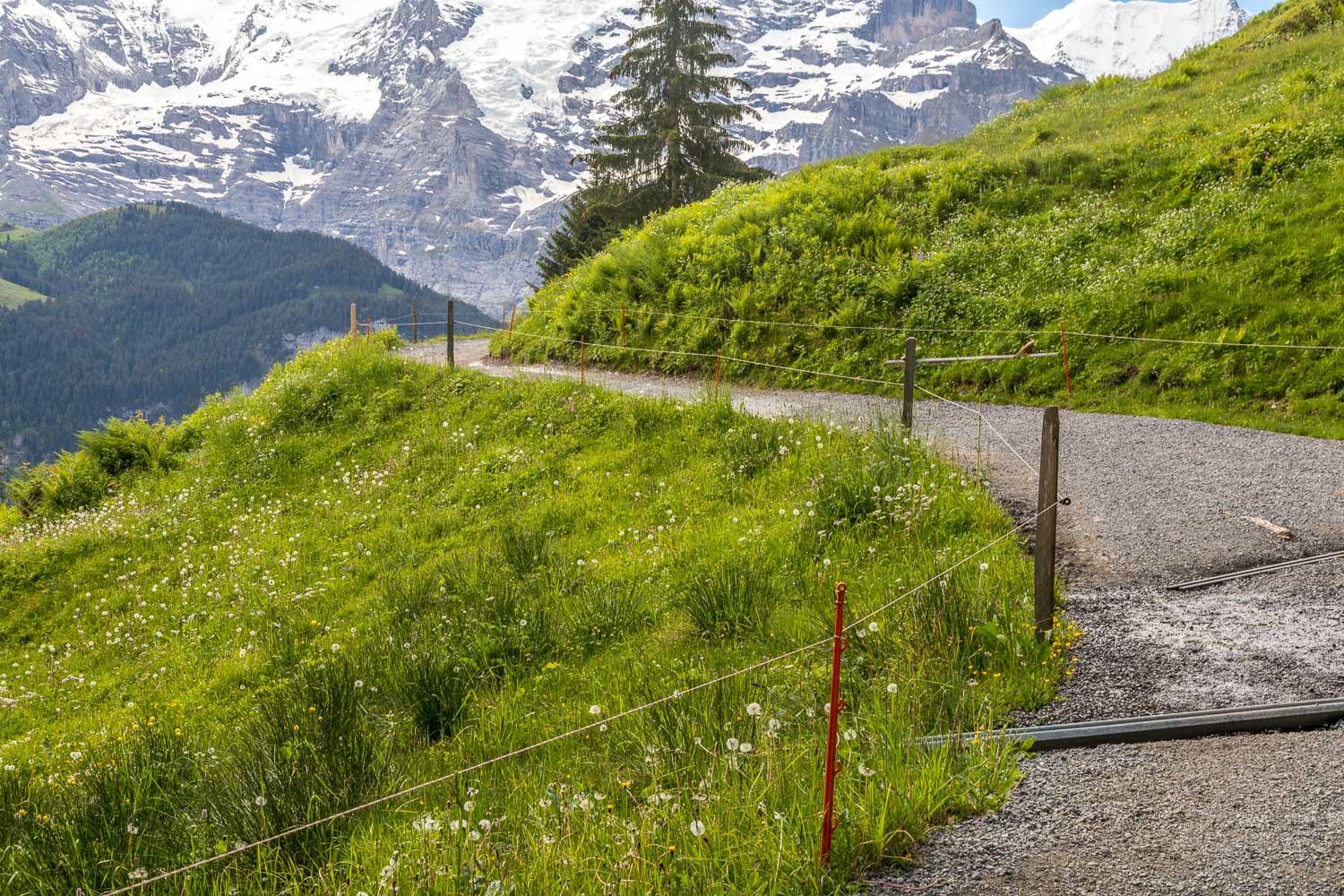 Gimmelwald walk Gimmelwald walk