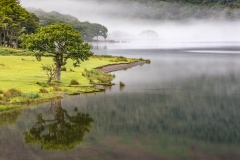 Crummock Water mist