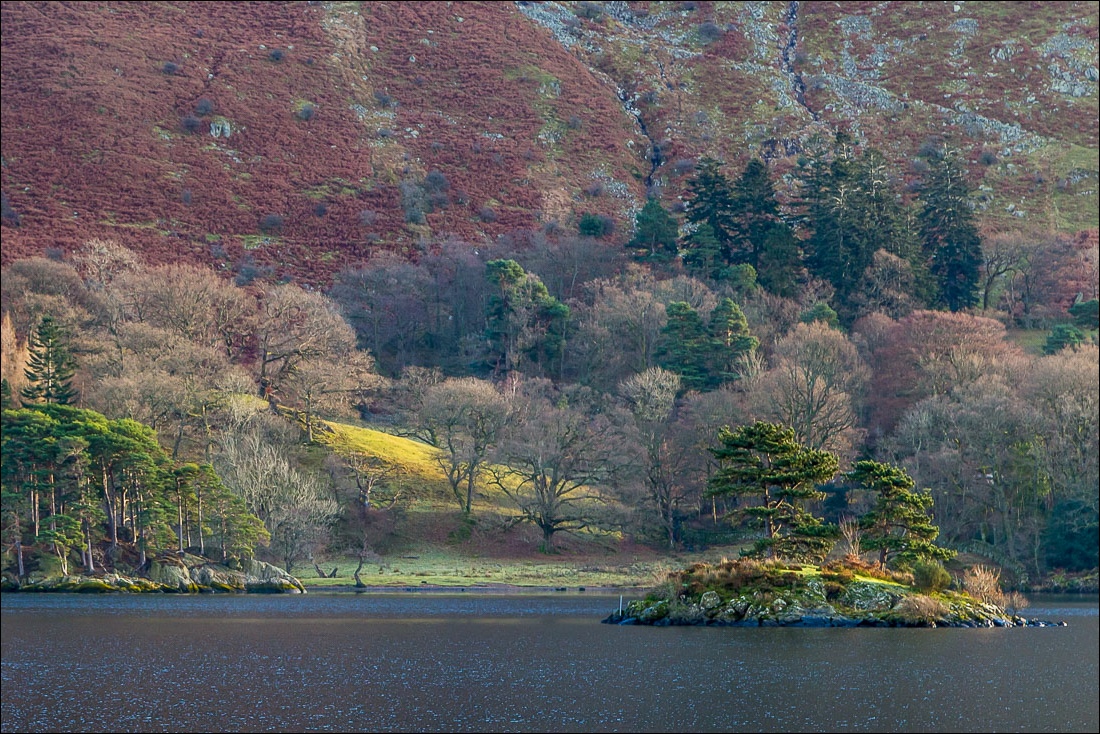 Lingy Holm Island Ullswater
