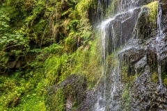 Goathland walk, Mallyan Spout