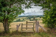 Golden Valley walk