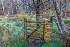 Grange Fell walk