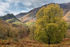 Castle Crag