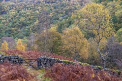 Grange Fell walk