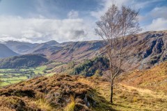 Grange Fell walk, Borrowdale