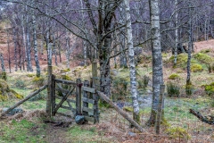 Grange Fell walk, Borrowdale walk