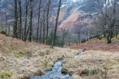 Grange Fell walk, Borrowdale walk