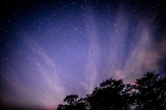 Lake District stars
