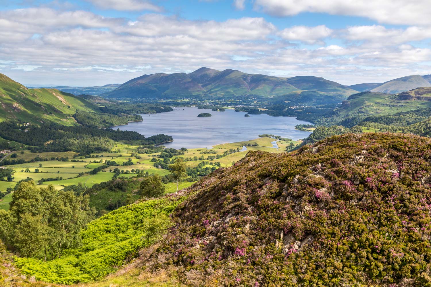 Derwent Water from the summit of King's How