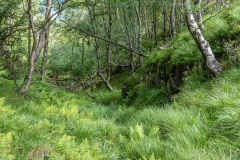Grange Fell walk