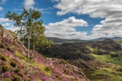 Grange Fell walk