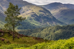 Grange Fell walk