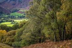 Borrowdale, autumn