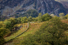 Borrowdale, autumn