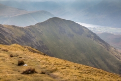 Whiteless Pike