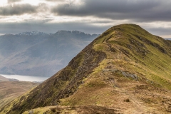 Whiteless Pike