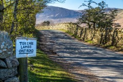 Cinderdale Common, sign